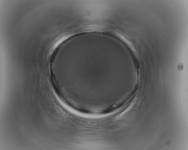 X0000092251453200709141138