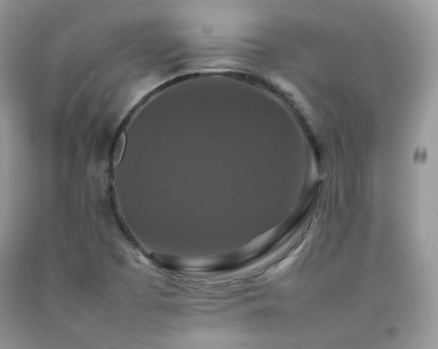 X0000092251457200709141138