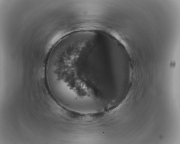 X0000092251459200709141138