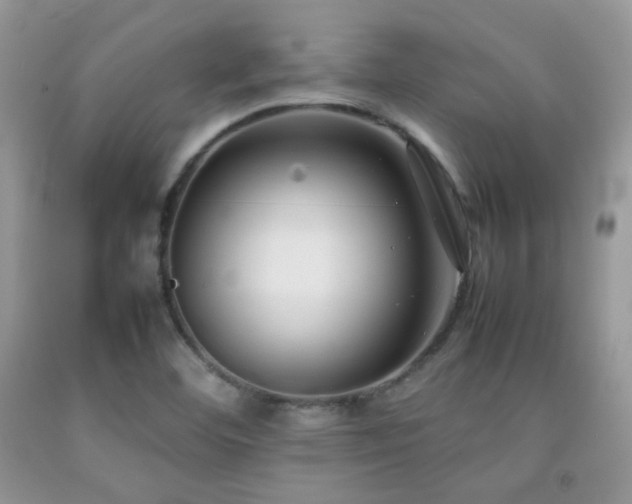 X0000092251460200709141138