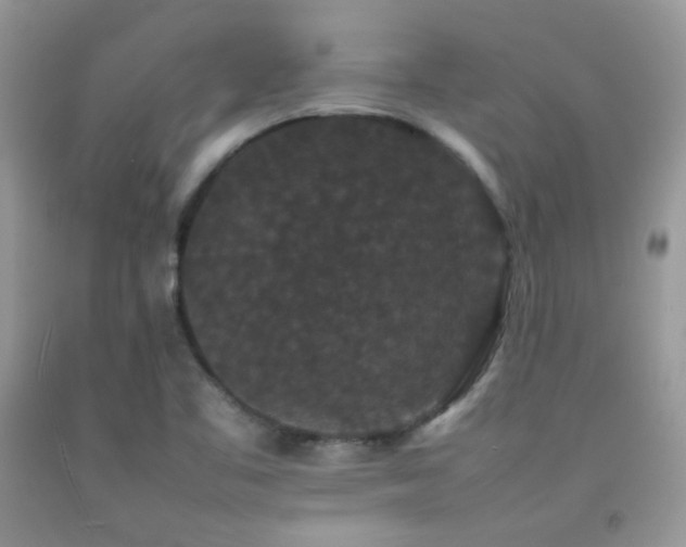 X0000092251461200709141138