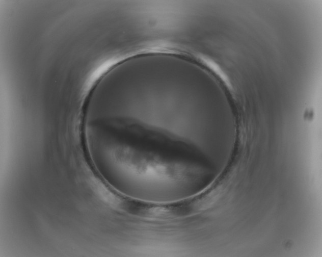 X0000092251463200709141138