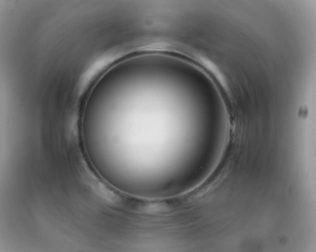 X0000092251464200709141138