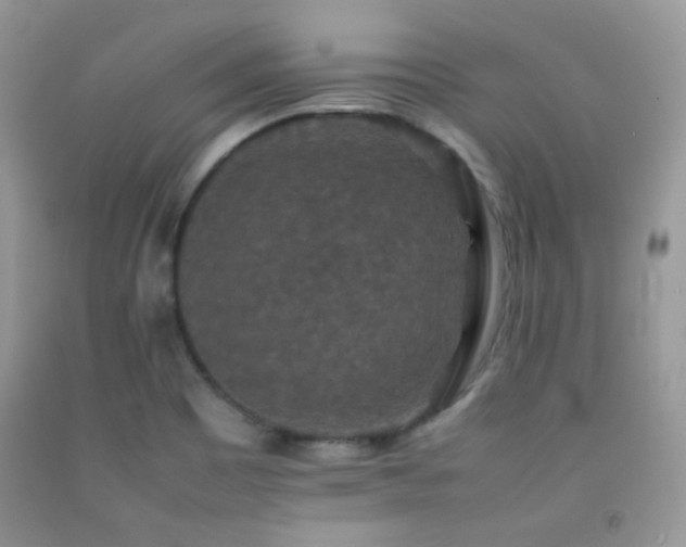 X0000092251465200709141138