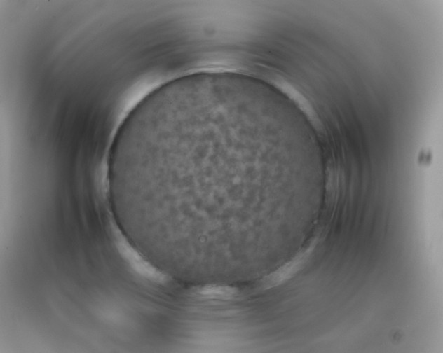 X0000092251466200709141138