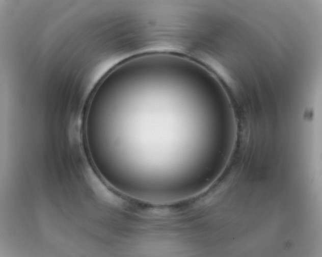 X0000092251468200709141138