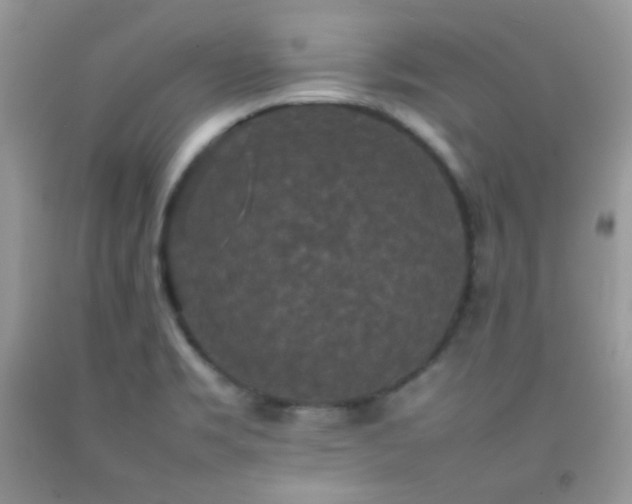 X0000092251469200709141138