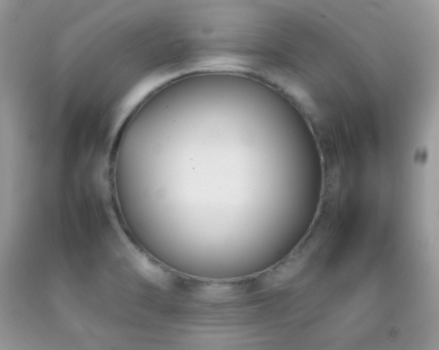 X0000092251470200709141138