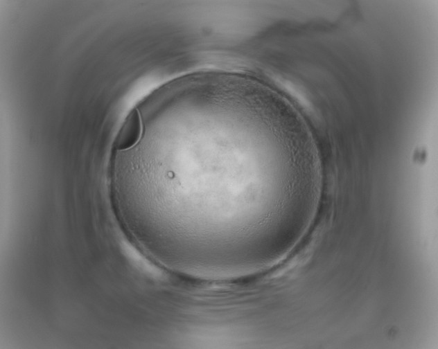 X0000092251471200709141138