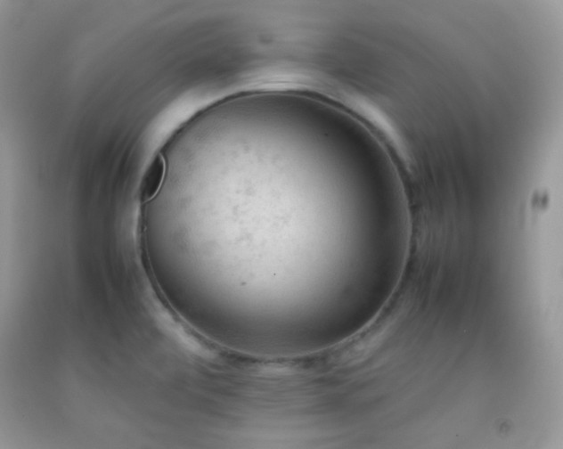 X0000092251472200709141138