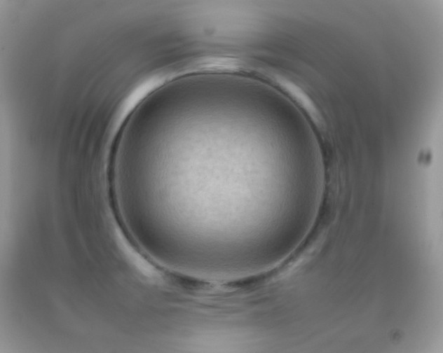 X0000092251475200709141138