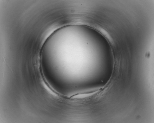 X0000092251476200709141138