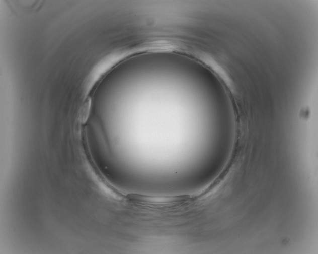 X0000092251477200709141138