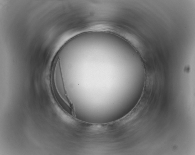X0000092251478200709141138