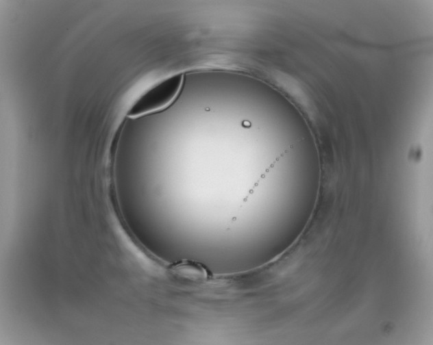 X0000092251479200709141138