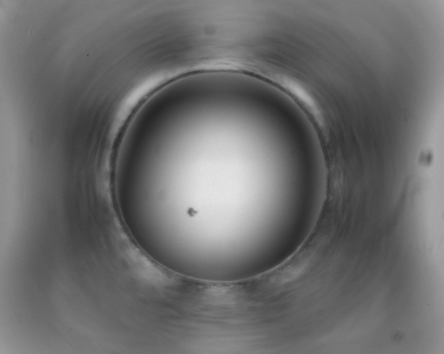 X0000092251480200709141138