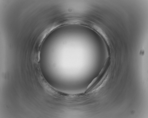 X0000092251481200709141138