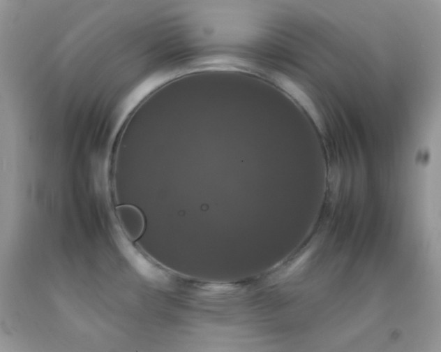 X0000092251482200709141138