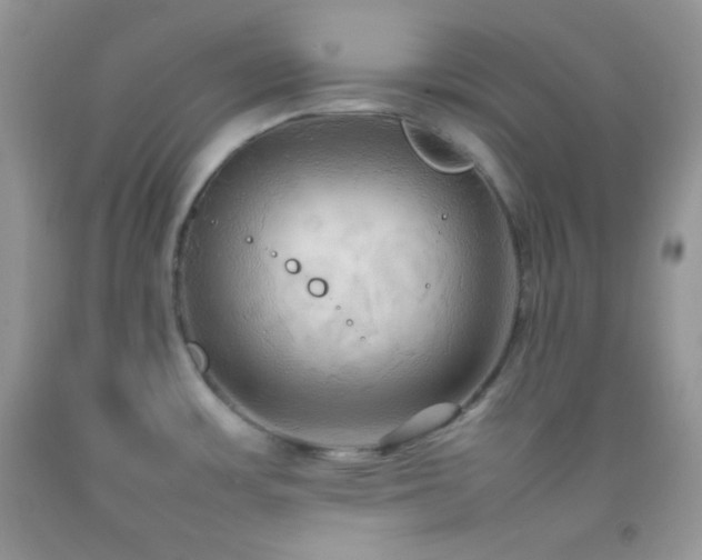 X0000092251483200709141138