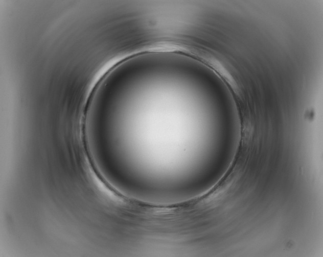 X0000092251484200709141138