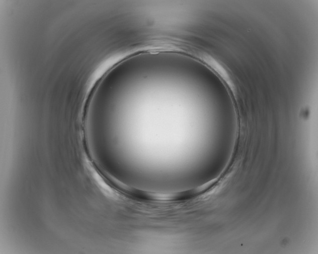 X0000092251485200709141138
