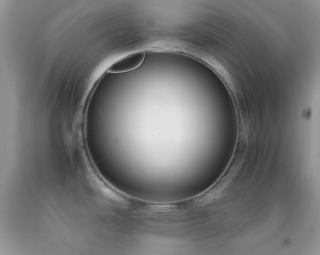 X0000092251486200709141138