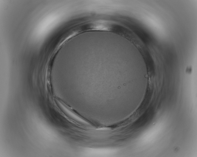 X0000092251487200709141138