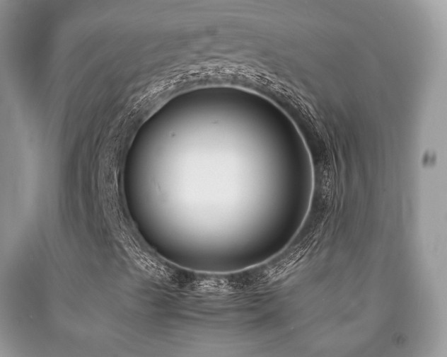 X0000092251489200709141137