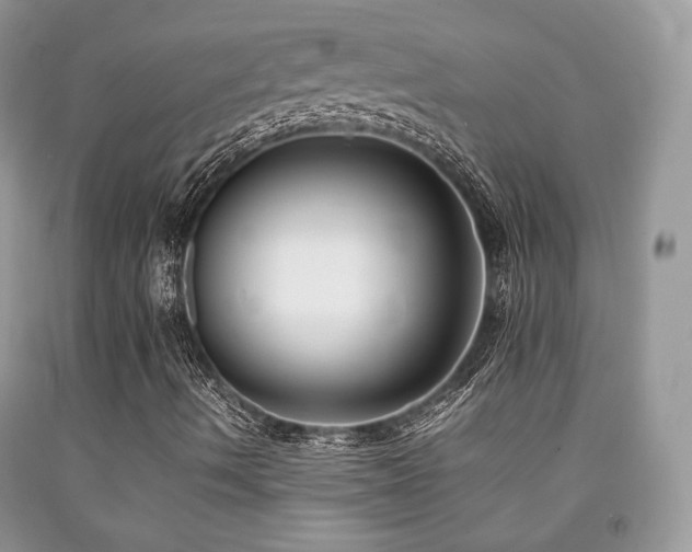 X0000092251490200709141137