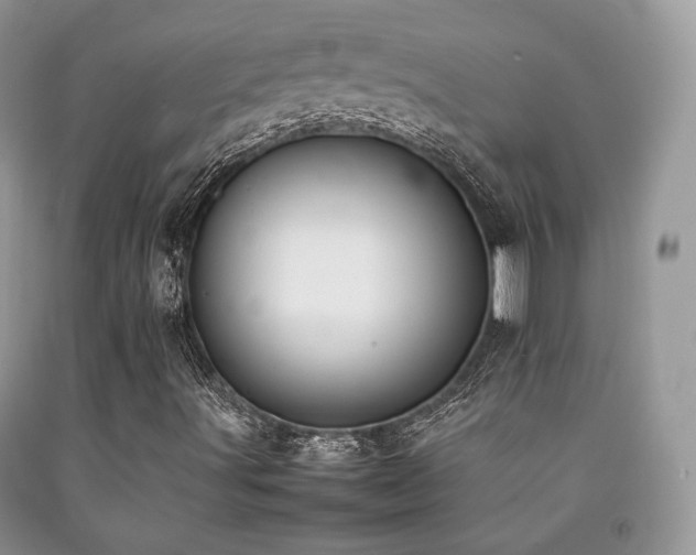 X0000092251491200709141137