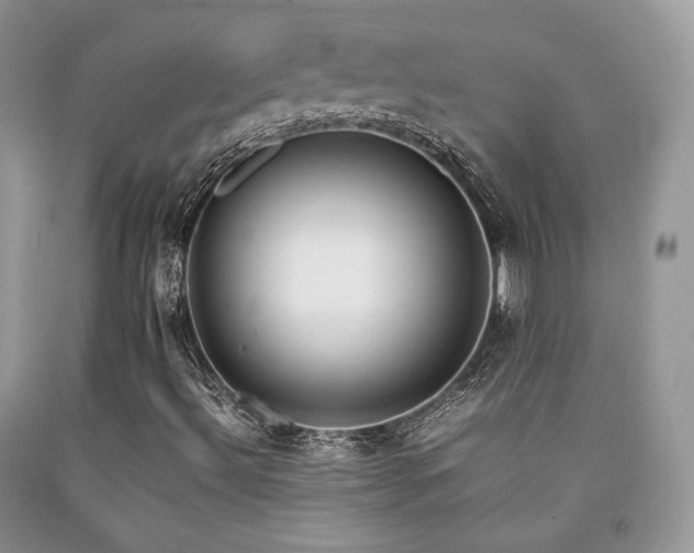 X0000092251492200709141137
