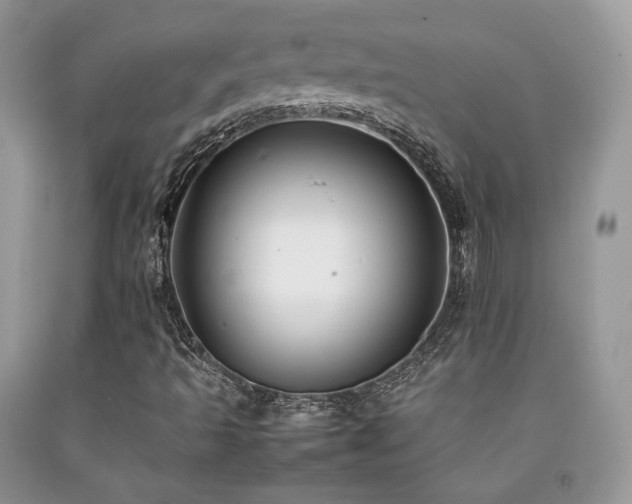 X0000092251493200709141137