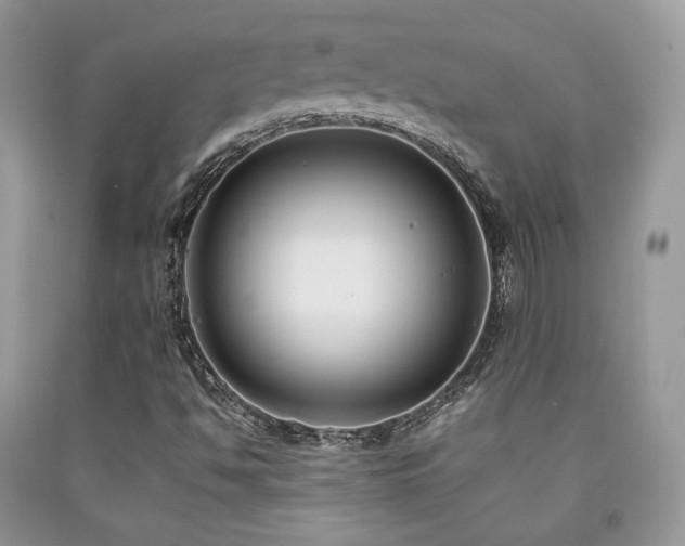 X0000092251494200709141137