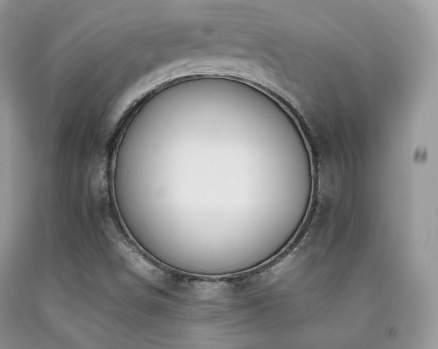 X0000092251498200709141137