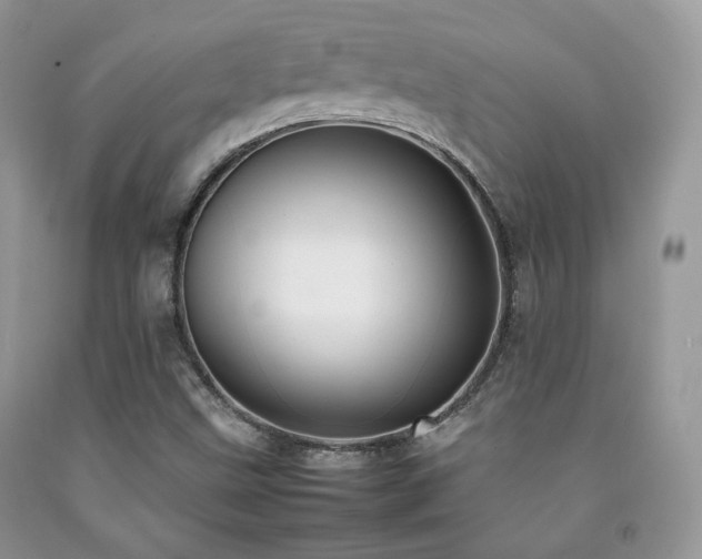 X0000092251499200709141137