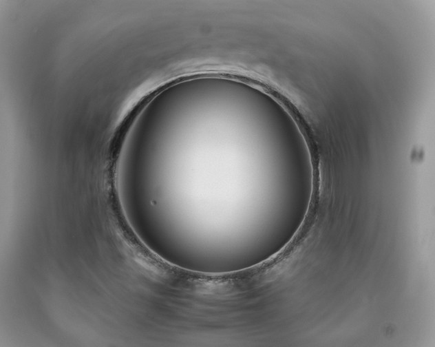 X0000092251501200709141137