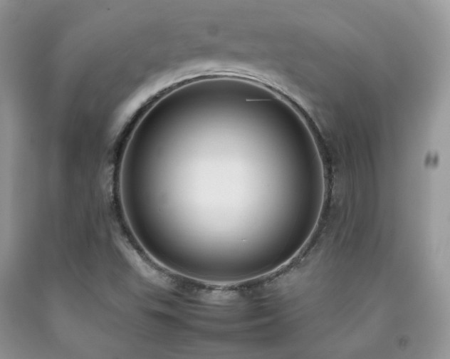 X0000092251503200709141137