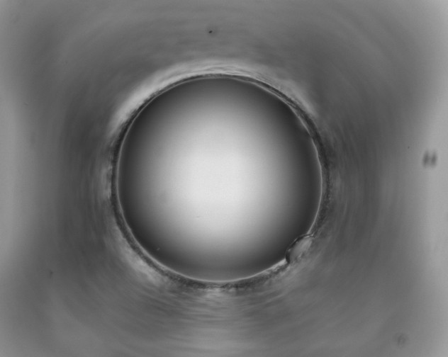 X0000092251504200709141137