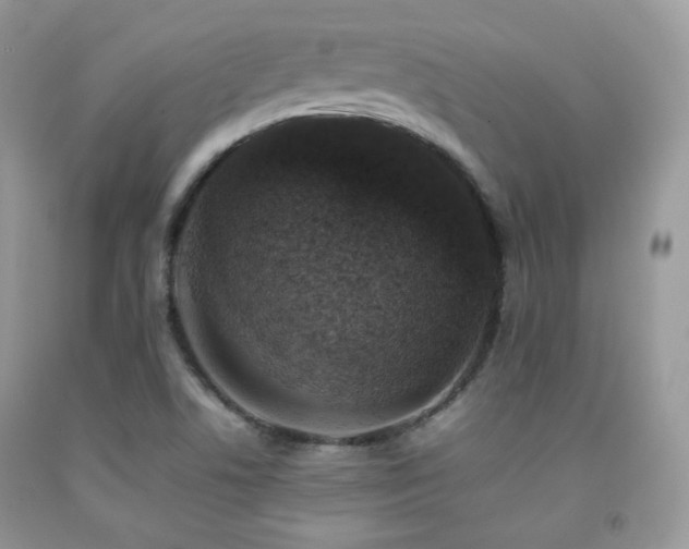 X0000092251506200709141137