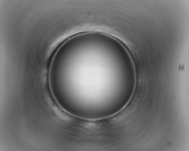 X0000092251507200709141137