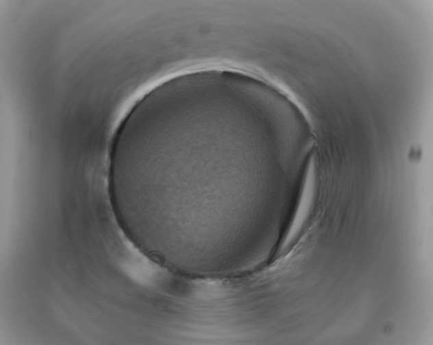 X0000092251508200709141137