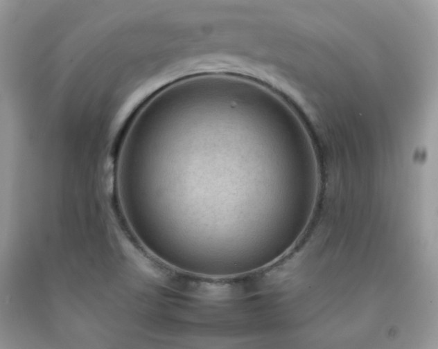 X0000092251509200709141137