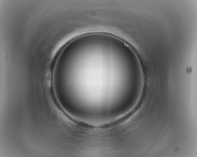 X0000092251510200709141137