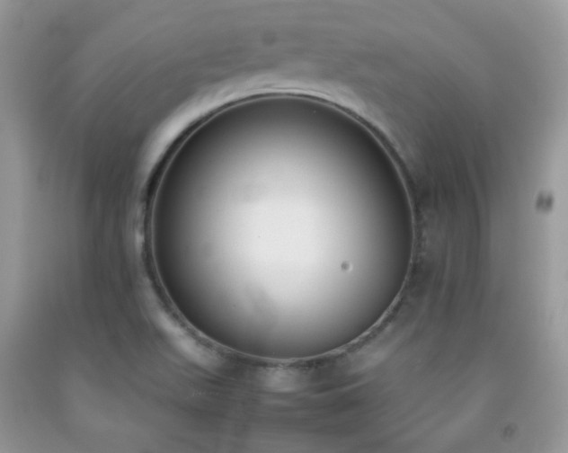 X0000092251511200709141137