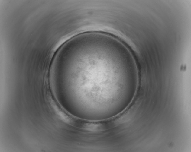 X0000092251513200709141137