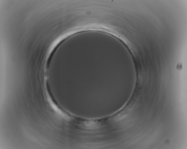 X0000092251515200709141137