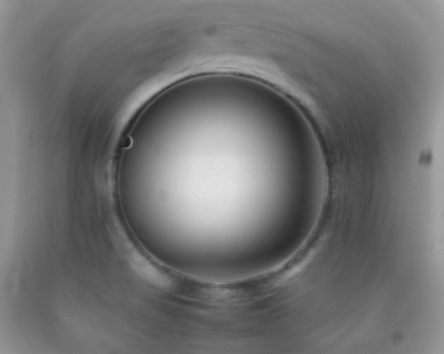 X0000092251517200709141137