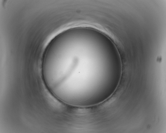 X0000092251518200709141137