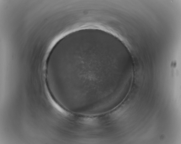 X0000092251519200709141137