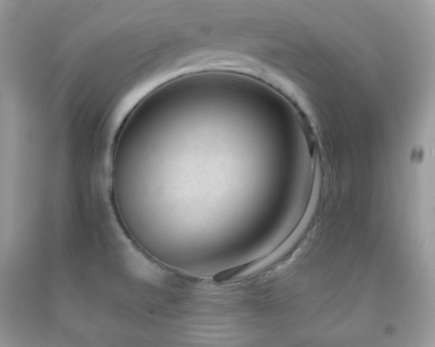 X0000092251520200709141137